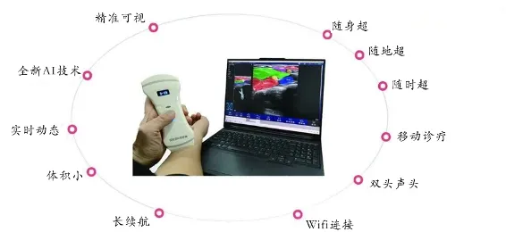 2.webp