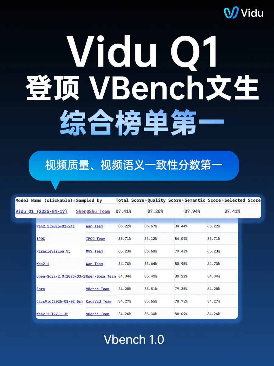 vidi1.webp